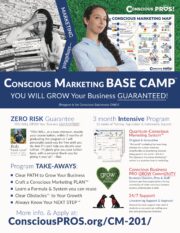 CM-201 Flyer